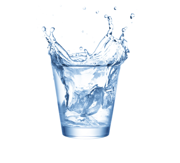 First Vector Graphic